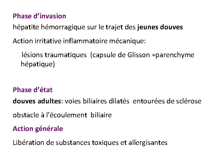 Phase d’invasion hépatite hémorragique sur le trajet des jeunes douves Action irritative inflammatoire mécanique: