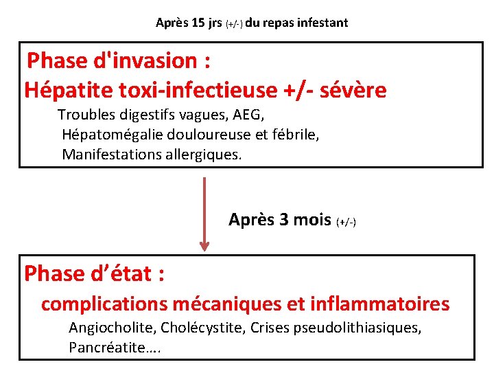 Après 15 jrs (+/-) du repas infestant Phase d'invasion : Hépatite toxi-infectieuse +/- sévère