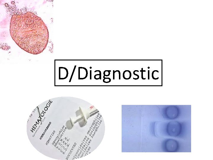 D/Diagnostic 