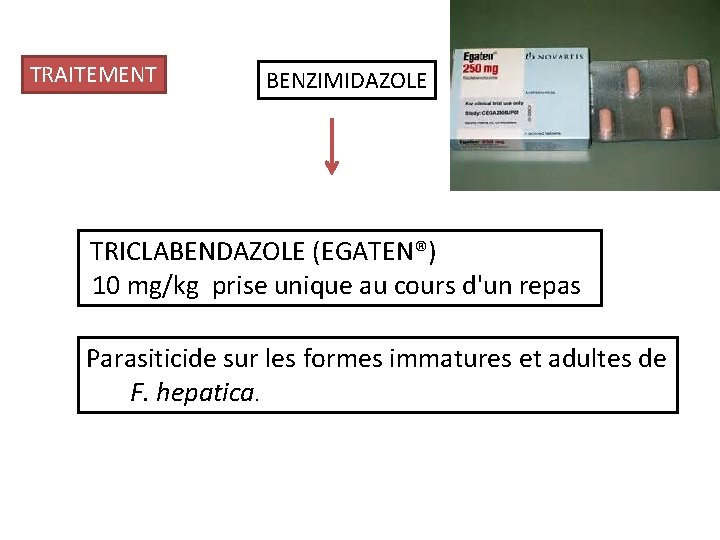 TRAITEMENT BENZIMIDAZOLE TRICLABENDAZOLE (EGATEN®) 10 mg/kg prise unique au cours d'un repas Parasiticide sur