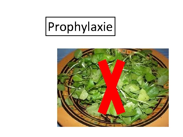 Prophylaxie 