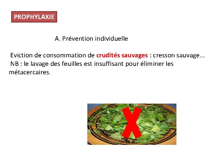 PROPHYLAXIE A. Prévention individuelle Eviction de consommation de crudités sauvages : cresson sauvage. .