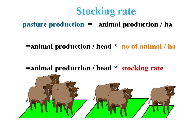 Stocking rate pasture production = animal production / ha =animal production / head *