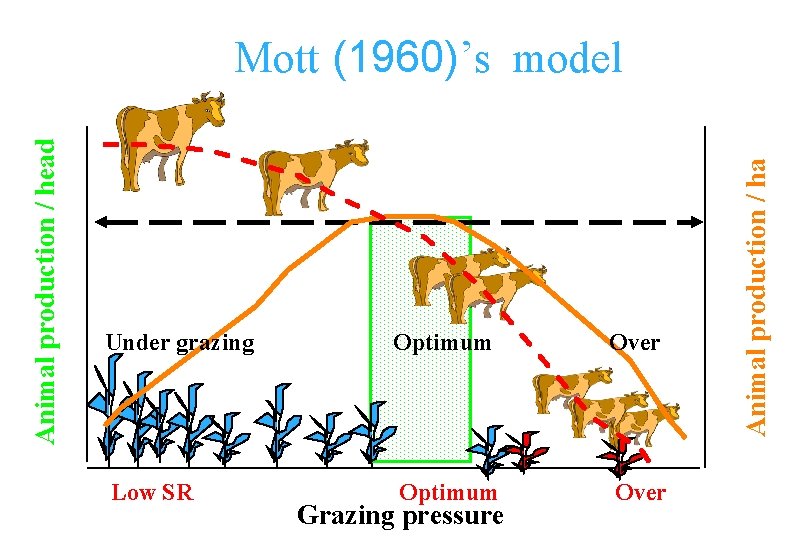 Under grazing Optimum Over Low SR Optimum Over Grazing pressure Animal production / ha