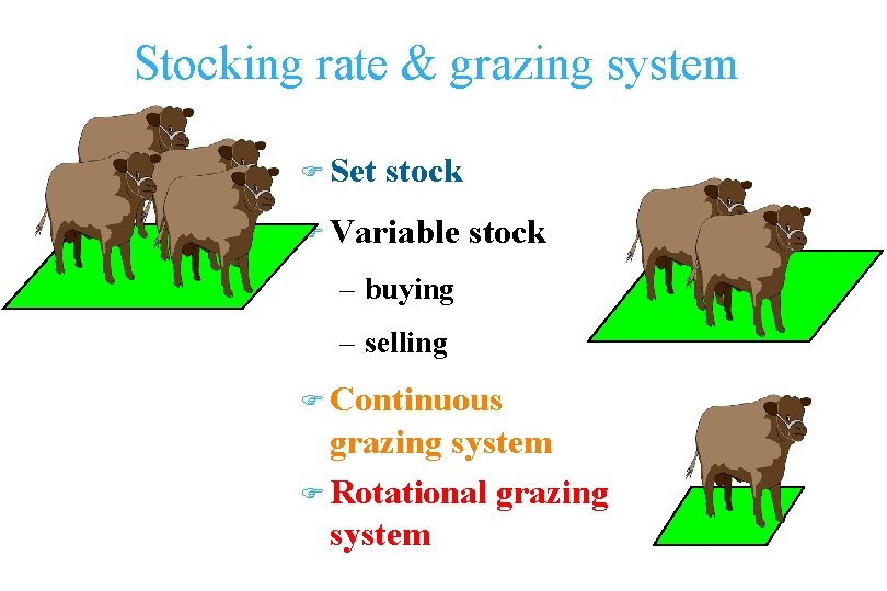 Stocking rate & grazing system F Set stock F Variable stock – buying –