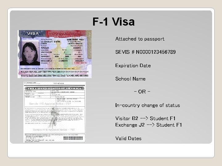 F-1 Visa Attached to passport SEVIS # N 0000123456789 Expiration Date School Name -