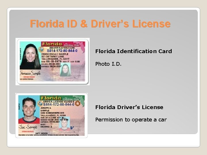 Florida ID & Driver’s License Florida Identification Card Photo I. D. Florida Driver’s License