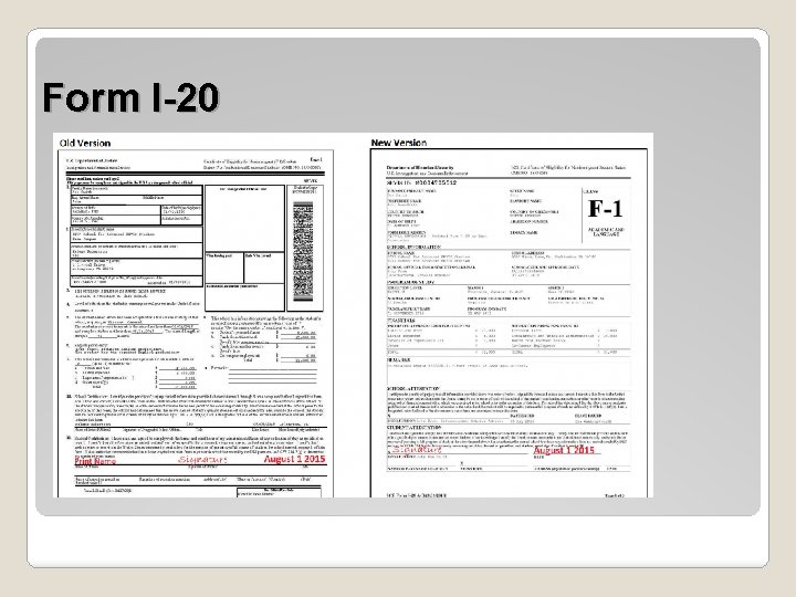 Form I-20 