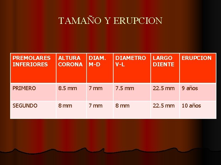 TAMAÑO Y ERUPCION PREMOLARES INFERIORES ALTURA CORONA DIAM. M-D DIAMETRO V-L LARGO DIENTE ERUPCION