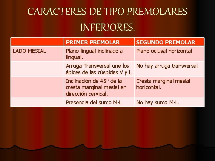 CARACTERES DE TIPO PREMOLARES INFERIORES. LADO MESIAL PRIMER PREMOLAR SEGUNDO PREMOLAR Plano lingual inclinado