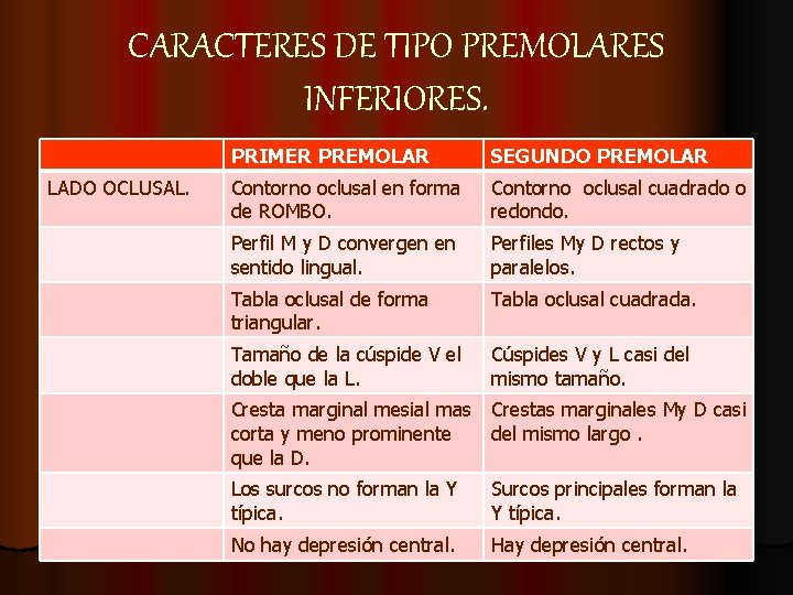 CARACTERES DE TIPO PREMOLARES INFERIORES. LADO OCLUSAL. PRIMER PREMOLAR SEGUNDO PREMOLAR Contorno oclusal en