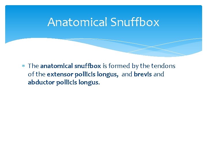 Anatomical Snuffbox The anatomical snuffbox is formed by the tendons of the extensor pollicis