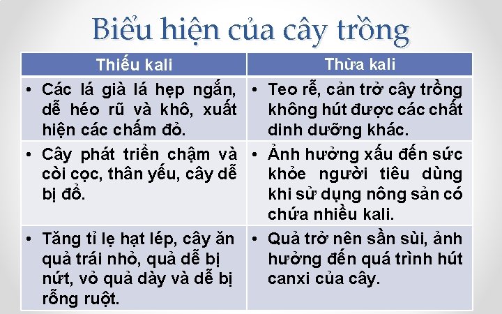 Biểu hiện của cây trồng Thừa kali Thiếu kali • Các lá già lá