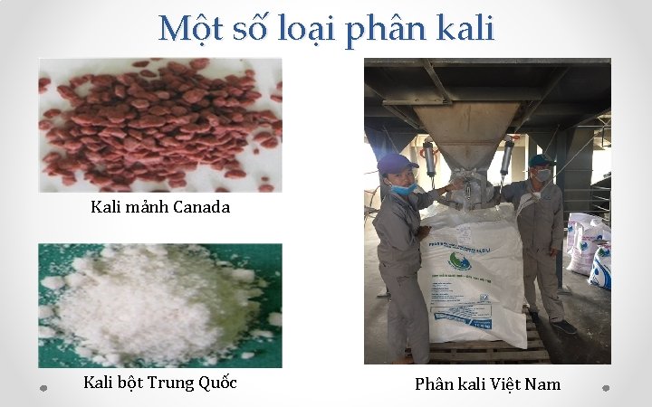 Một số loại phân kali Kali mảnh Canada Kali bột Trung Quốc Phân kali