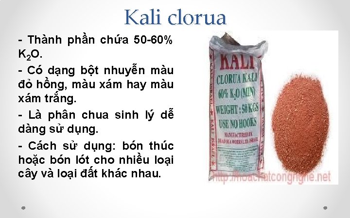 Kali clorua - Thành phần chứa 50 -60% K 2 O. - Có dạng