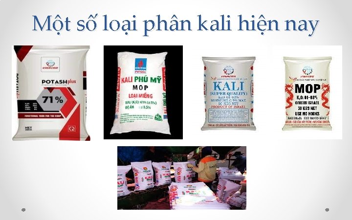 Một số loại phân kali hiện nay 