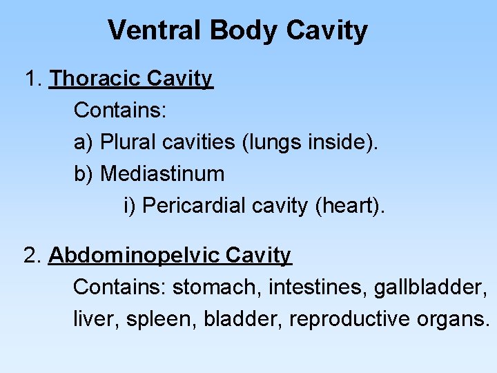 Ventral Body Cavity 1. Thoracic Cavity Contains: a) Plural cavities (lungs inside). b) Mediastinum