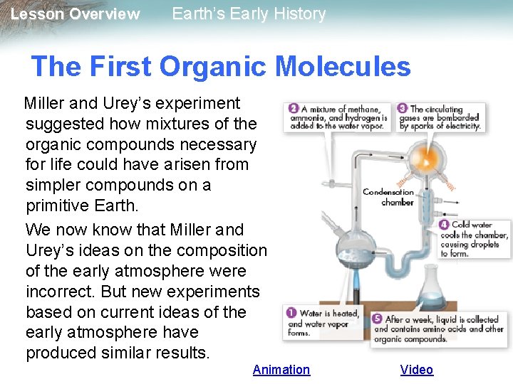 Lesson Overview Earth’s Early History The First Organic Molecules Miller and Urey’s experiment suggested