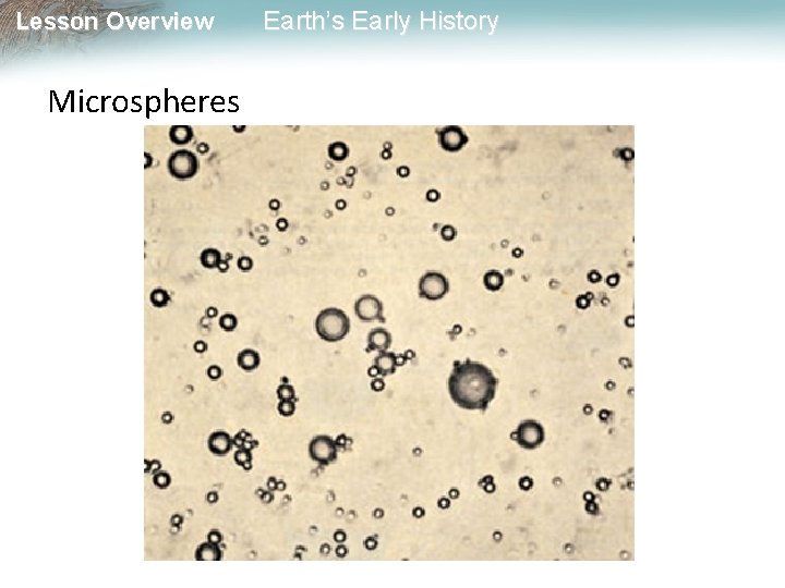 Lesson Overview Microspheres Earth’s Early History 