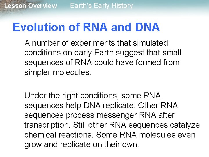 Lesson Overview Earth’s Early History Evolution of RNA and DNA A number of experiments