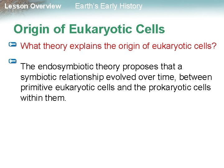 Lesson Overview Earth’s Early History Origin of Eukaryotic Cells What theory explains the origin