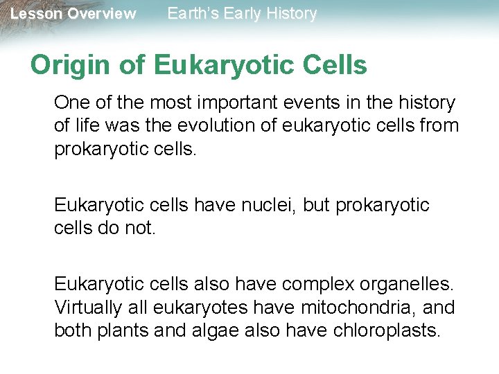 Lesson Overview Earth’s Early History Origin of Eukaryotic Cells One of the most important