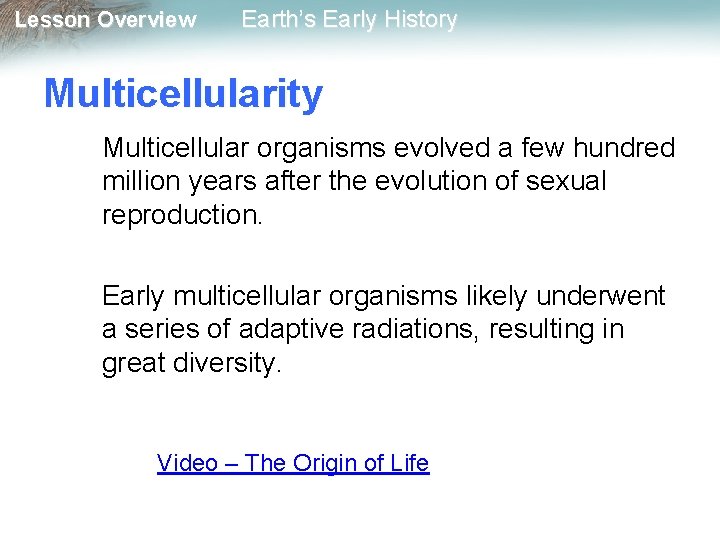 Lesson Overview Earth’s Early History Multicellularity Multicellular organisms evolved a few hundred million years