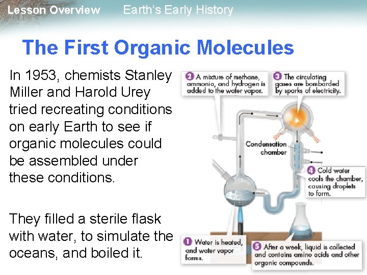 Lesson Overview Earth’s Early History The First Organic Molecules In 1953, chemists Stanley Miller