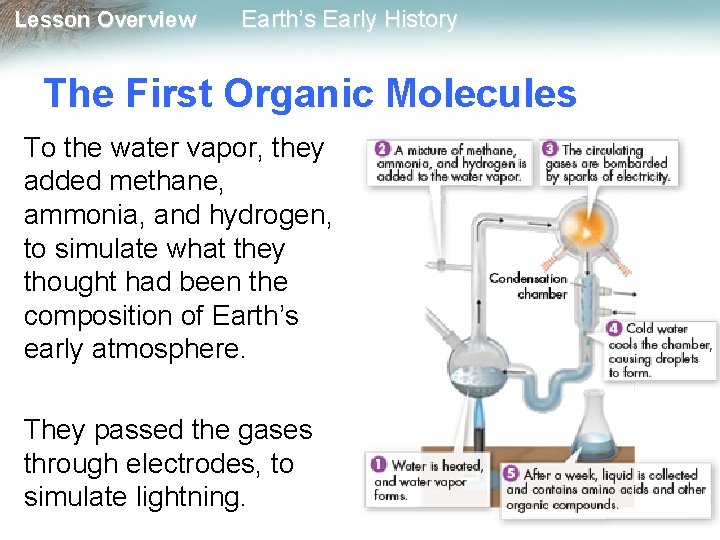 Lesson Overview Earth’s Early History The First Organic Molecules To the water vapor, they