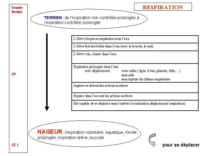 RESPIRATION Grande Section TERRIEN : de l’inspiration non contrôlée prolongée à l’expiration contrôlée prolongée