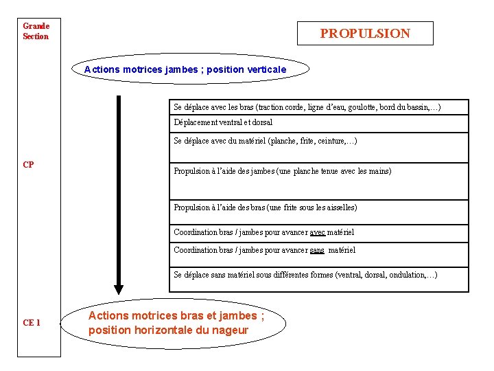 Grande Section PROPULSION Actions motrices jambes ; position verticale Se déplace avec les bras