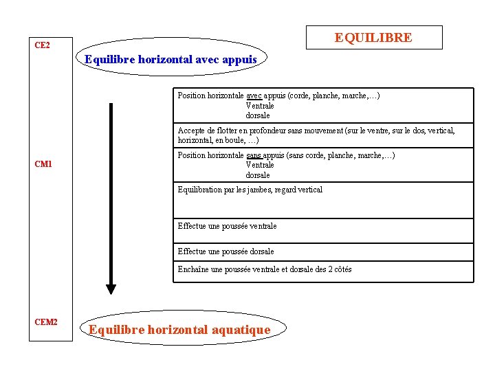 EQUILIBRE CE 2 Equilibre horizontal avec appuis Position horizontale avec appuis (corde, planche, marche,