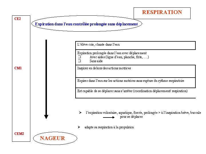 RESPIRATION CE 2 Expiration dans l’eau contrôlée prolongée sans déplacement L’élève crie, chante dans RESPIRATION CE 2 Expiration dans l’eau contrôlée prolongée sans déplacement L’élève crie, chante dans