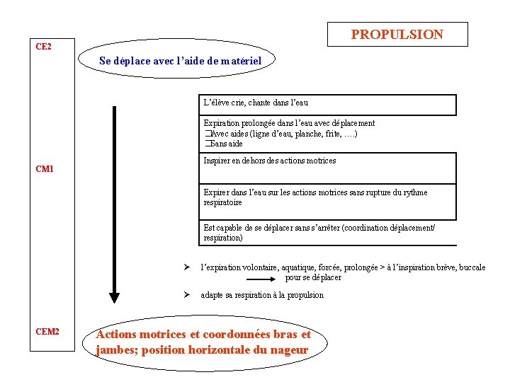 PROPULSION CE 2 Se déplace avec l’aide de matériel L’élève crie, chante dans l’eau