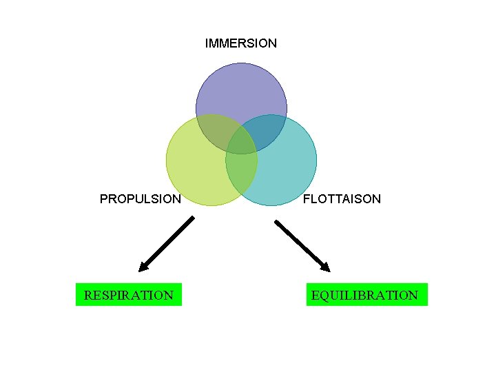 IMMERSION PROPULSION RESPIRATION FLOTTAISON EQUILIBRATION 