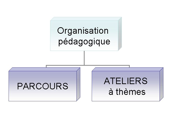 Organisation pédagogique PARCOURS ATELIERS à thèmes 