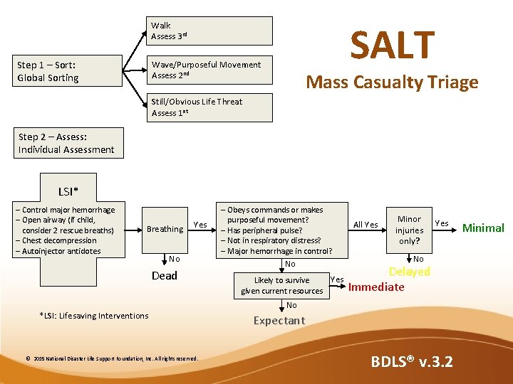 SALT Walk Assess 3 rd Step 1 – Sort: Global Sorting Wave/Purposeful Movement Assess