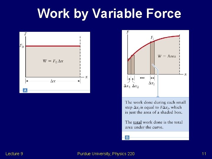 Work by Variable Force Lecture 9 Purdue University, Physics 220 11 