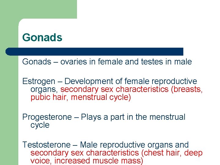 Gonads – ovaries in female and testes in male Estrogen – Development of female