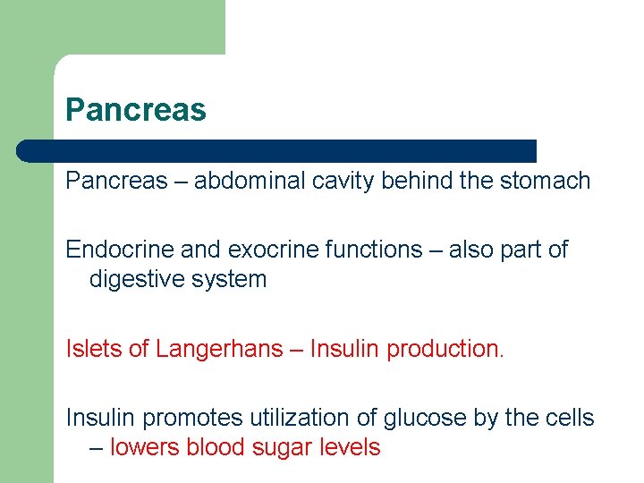 Pancreas – abdominal cavity behind the stomach Endocrine and exocrine functions – also part