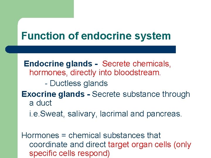 Function of endocrine system Endocrine glands - Secrete chemicals, hormones, directly into bloodstream. -