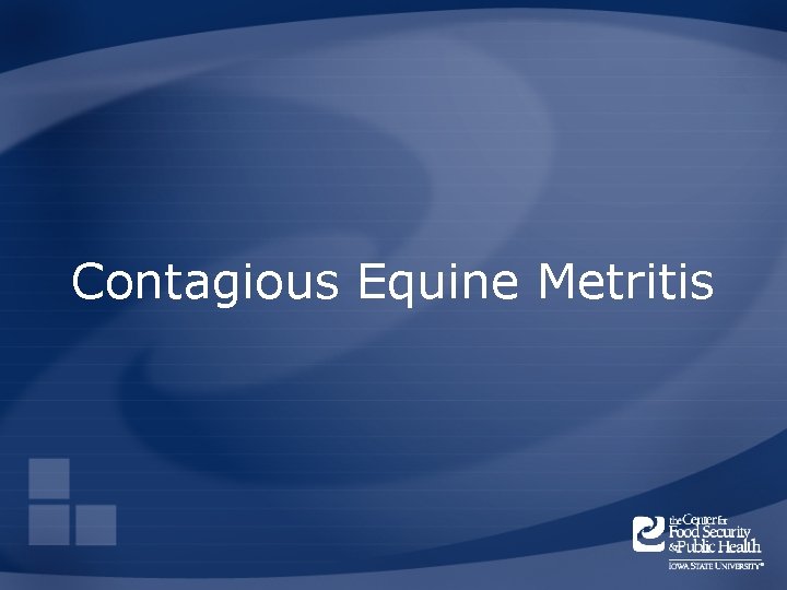 Contagious Equine Metritis 