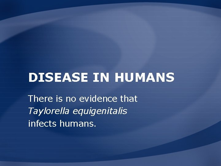 DISEASE IN HUMANS There is no evidence that Taylorella equigenitalis infects humans. 
