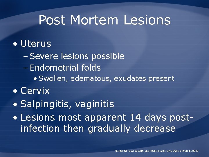 Post Mortem Lesions • Uterus – Severe lesions possible – Endometrial folds • Swollen,