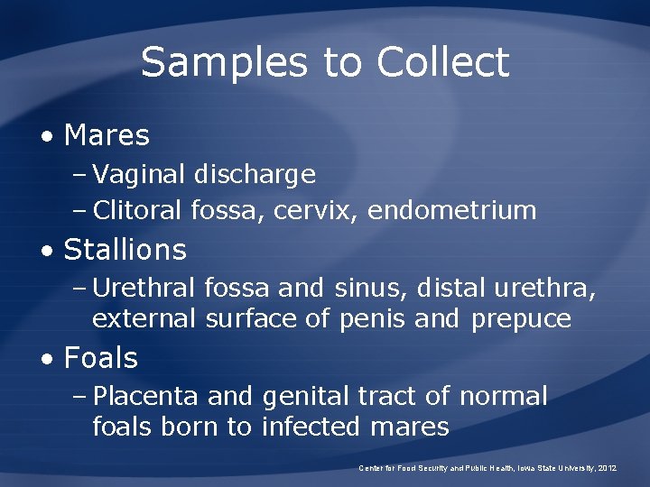 Samples to Collect • Mares – Vaginal discharge – Clitoral fossa, cervix, endometrium •