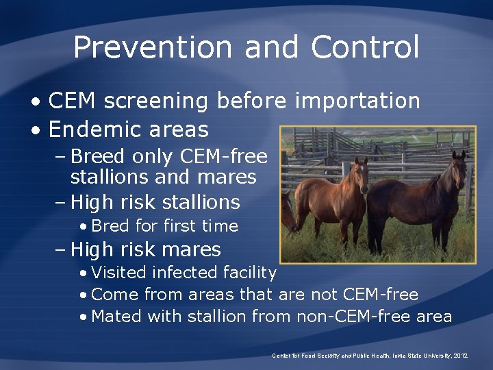 Prevention and Control • CEM screening before importation • Endemic areas – Breed only