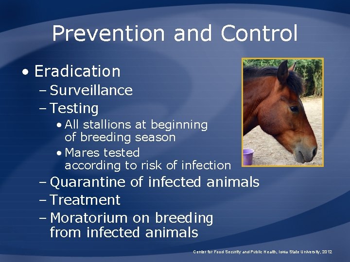 Prevention and Control • Eradication – Surveillance – Testing • All stallions at beginning