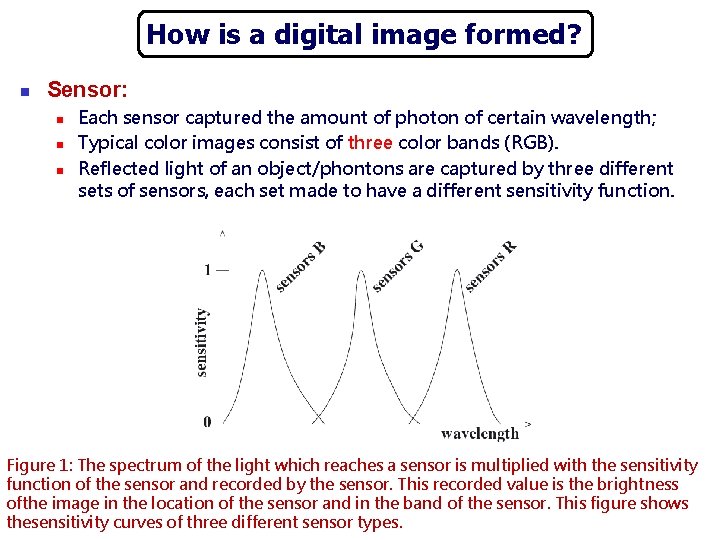 How is a digital image formed? n Sensor: n n n Each sensor captured