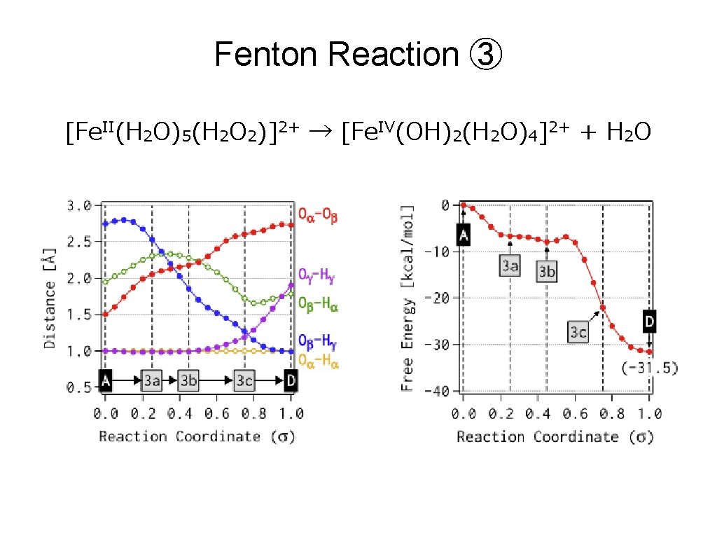 Fenton Reaction ③ [Fe. II(H 2 O)5(H 2 O 2)]2+ → [Fe. IV(OH)2(H 2