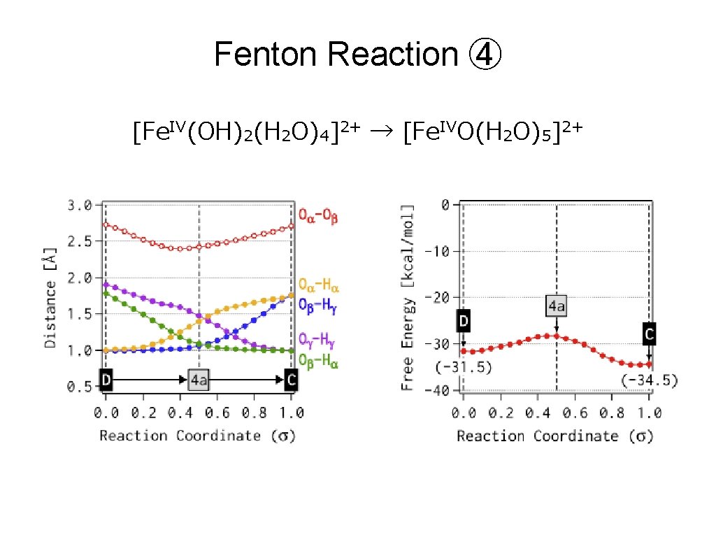 Fenton Reaction ④ [Fe. IV(OH)2(H 2 O)4]2+ → [Fe. IVO(H 2 O)5]2+ 